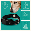 Magnetic Dog Collar