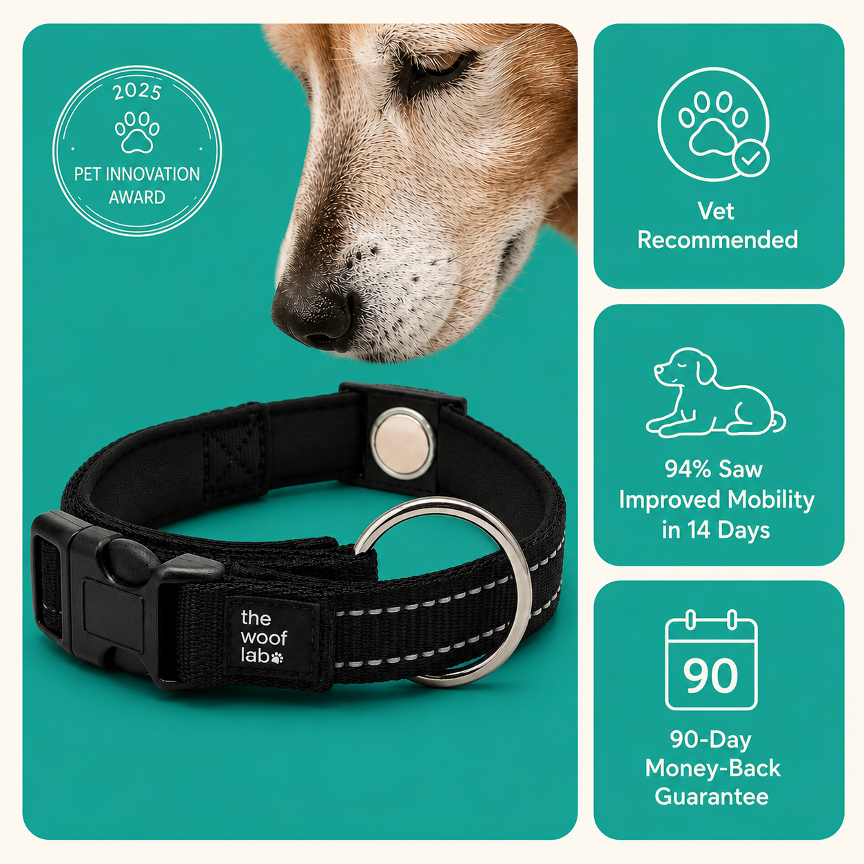 Magnetic Dog Collar