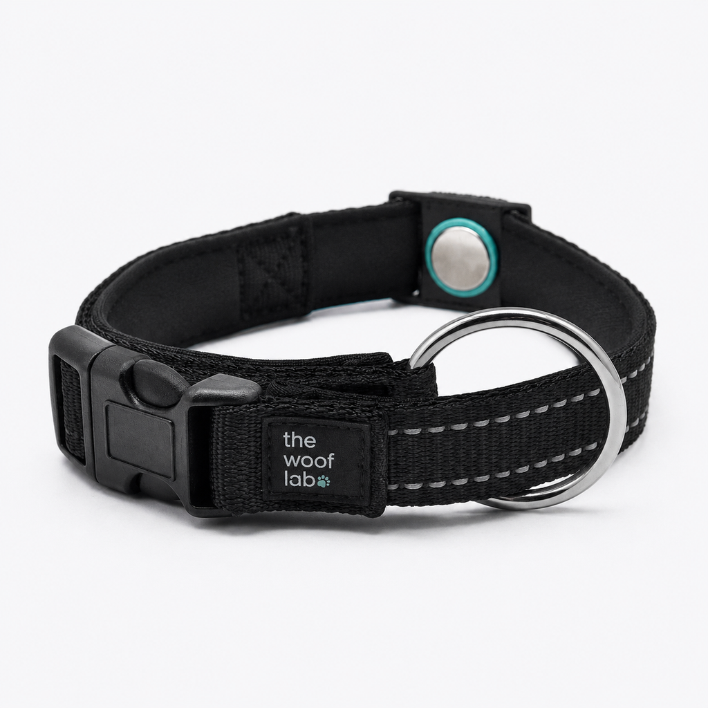 Magnetic Dog Collar
