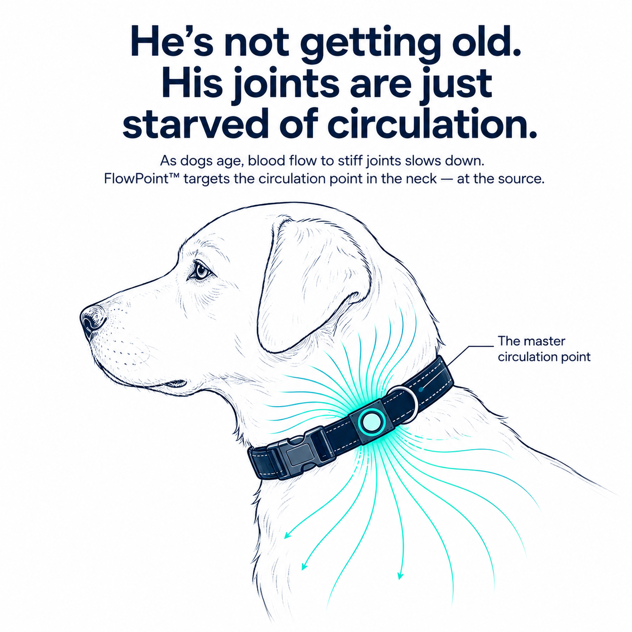 Magnetic Dog Collar