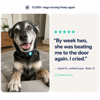 Magnetic Dog Collar