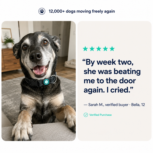 Magnetic Dog Collar