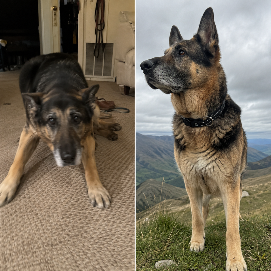 Charlie, 11