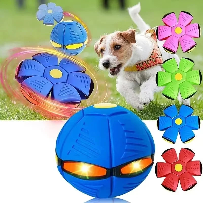 Interactive Flying Ball/Disc